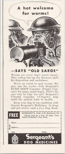 Sergeant dog medicines - sergeant's,