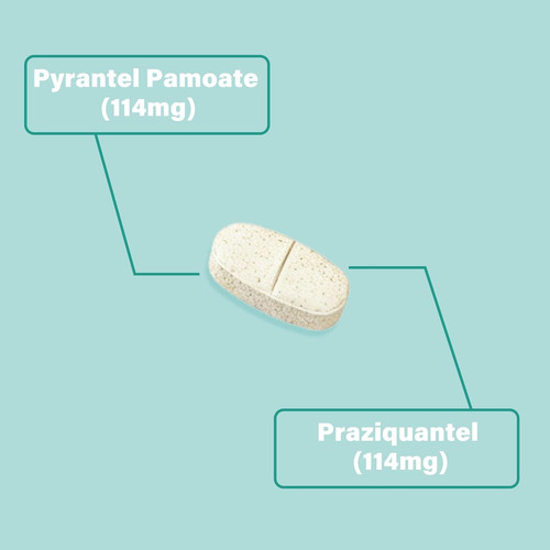 Wormer for dogs oral - for,