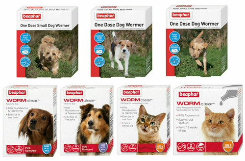 Worming wormer cat dog - worming,